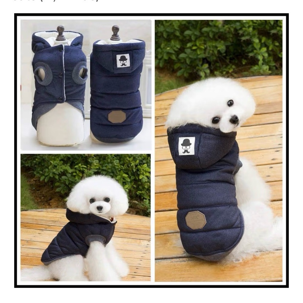 Warm pet hoodie